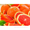 Grapefruit Powder Extracts